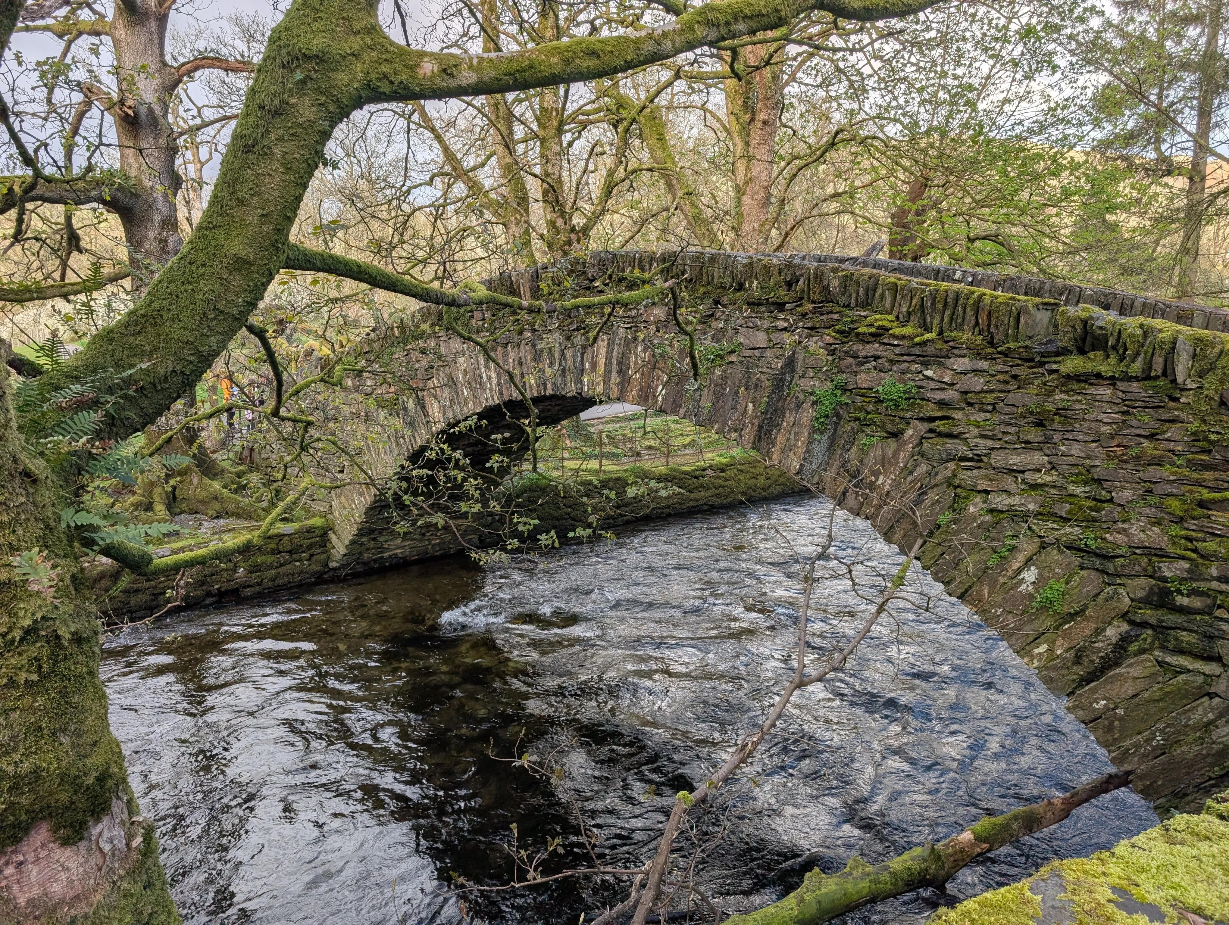 Bridge